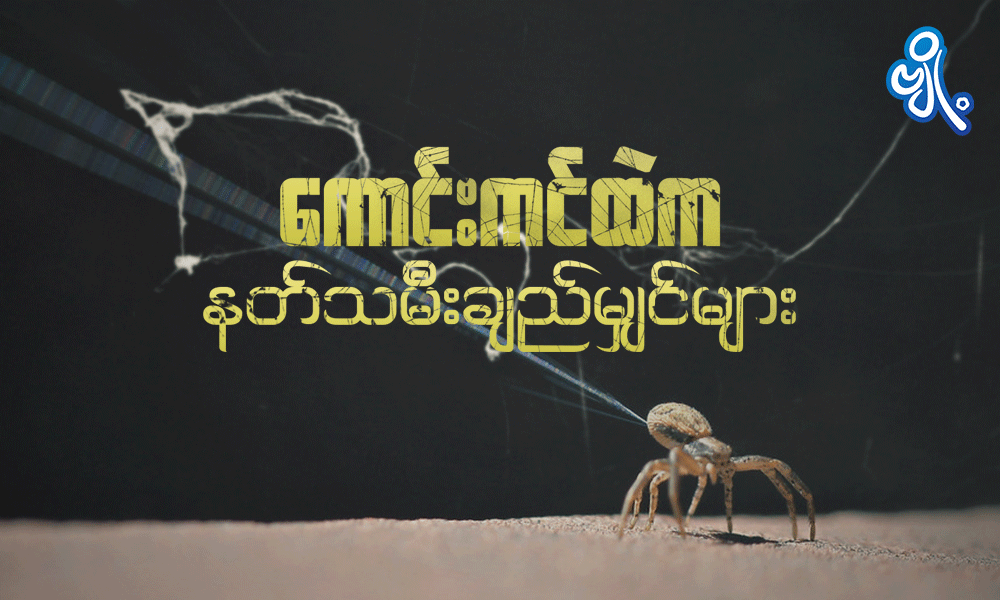 ကောင်းကင်ထဲက နတ်သမီးချည်မျှင်များ . . .